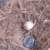 Nuthatch Egg