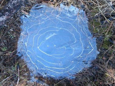 The Mystery of the Frozen Water Puddle Rings